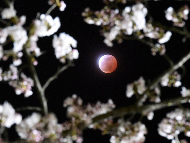 Tin tức trong ngày - Chiêm ngưỡng “trăng máu” tuyệt đẹp trên khắp thế giới