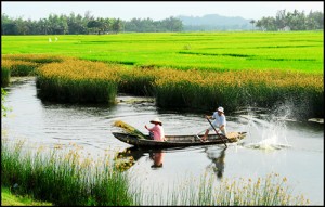 Bạn trẻ - Cuộc sống - Thơ tình: Mẹ và đồng quê