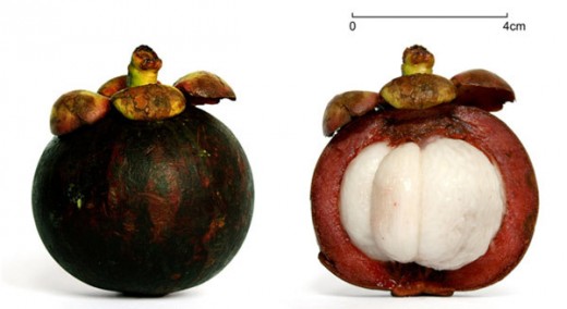 Sức khỏe đời sống - 9 loại trái cây chống lão hóa hàng đầu