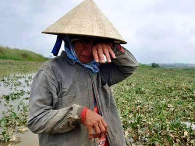 Bạn trẻ - Cuộc sống - Truy tìm nguyên nhân dưa hấu giá siêu bèo ở Quảng Nam