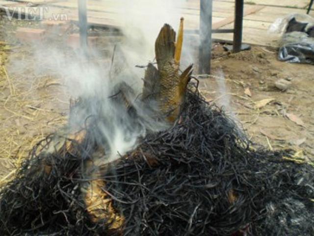 Đặc sản 3 miền - Những món cá lóc "danh bất hư truyền"