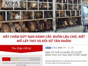 Tin tức trong ngày - Thực hư “website bảo vệ chó” bán thông tin cá nhân