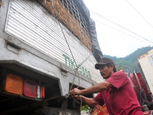 Tin tức trong ngày - “Bán lỗ, dưa hấu bị thải nhiều, tôi không còn tiền về quê”