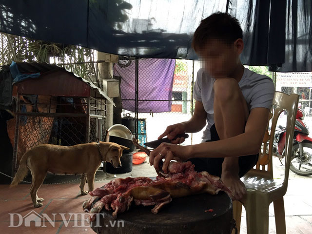 Lạnh người xem mèo bị dìm chết, xẻ thịt ở Thái Bình