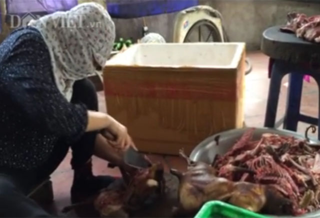 Tin tức Việt Nam - Video “hành quyết” mèo ở lò mổ Thái Bình