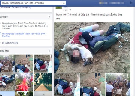 Tin tức trong ngày - Để xác chó cạnh nghi phạm: Càng khiến "cẩu tặc" liều lĩnh