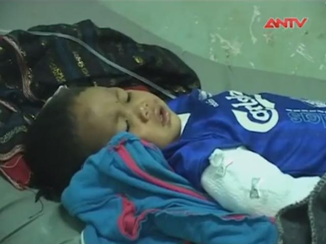 Video An ninh - Cây đổ đè bẹp chòi, 3 người trong một gia đình tử vong