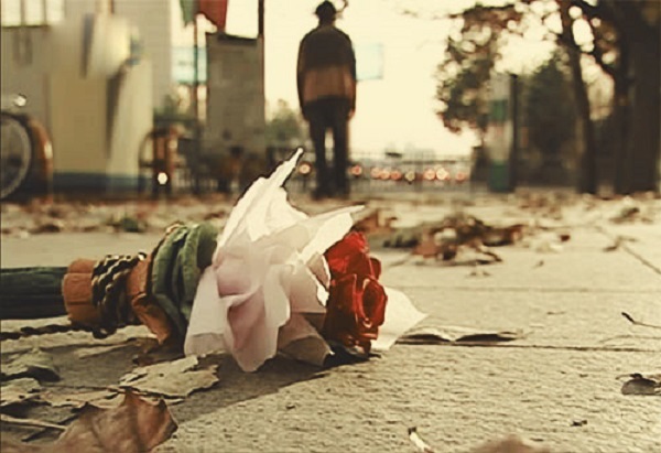 Thư tình: Mùa hoài niệm cho em