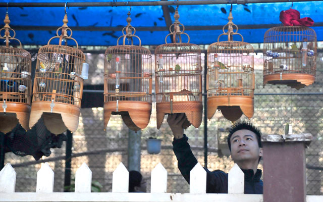 Sức khỏe đời sống - Không bớt stress vì nghỉ ngơi sai cách