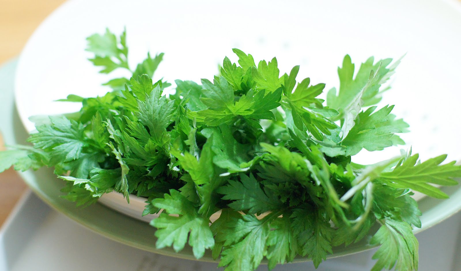 Sức khỏe đời sống - Chữa bệnh bằng ngải cứu