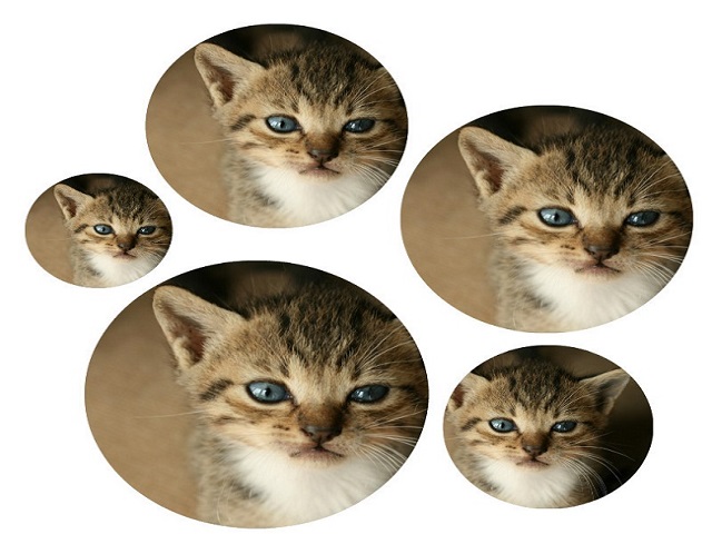 Công nghệ thông tin - 10 trang web giúp ghép ảnh trực tuyến miễn phí