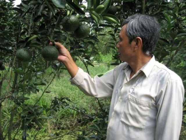 Cẩm nang tìm việc - Giỏi kỹ thuật, nhà nông thành tỷ phú