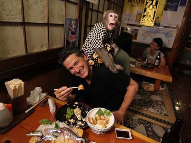 Phi thường - kỳ quặc - Video: "Khỉ hầu bàn" tại quán ăn Nhật Bản