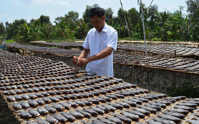 Thị trường - Tiêu dùng - Giàu lên nhờ đặc sản cá thát lát, khô sặc rằn