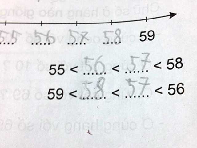 Giáo dục - du học - Những lỗi sai trong sách khiến học sinh "té ghế"