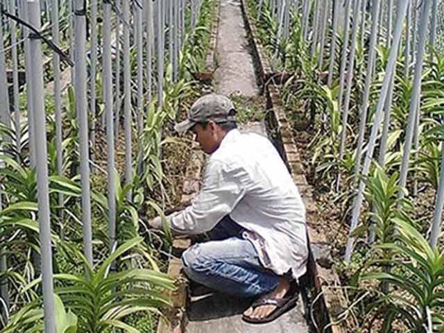 Pháp luật - Từ bỏ ma túy khi nhìn mẹ quét lá kiếm cơm