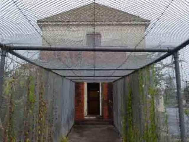 Phi thường - kỳ quặc - Bệnh viện tâm thần bỏ hoang và lời đồn "ma ám"