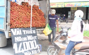 Thị trường - Tiêu dùng - Vải thiều Nam tiến: Lo đường xa, khó bảo quản