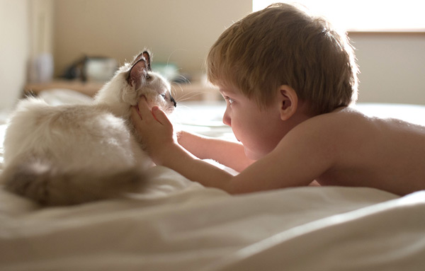 Giới trẻ - Bộ ảnh đẹp ngỡ ngàng của bé trai bên chú mèo