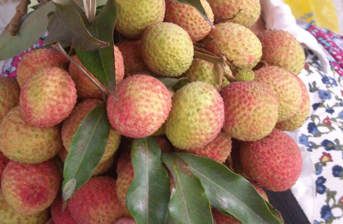 Thị trường - Tiêu dùng - Vải đầu mùa: Giá giảm một nửa chỉ trong một tuần