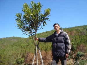 Thị trường - Tiêu dùng - Chinh phục cây tỷ đô: “Nói nhiều, chưa thấy triển khai gì”