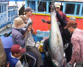 Tài chính - Bất động sản - Đề xuất thành lập Bộ kinh tế biển