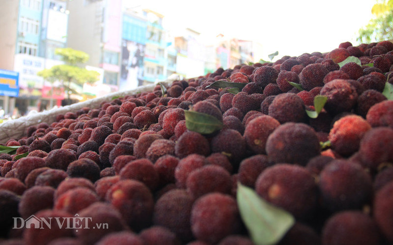 Thị trường - Tiêu dùng - Thanh mai Trung Quốc “mê hoặc” dân Hà thành