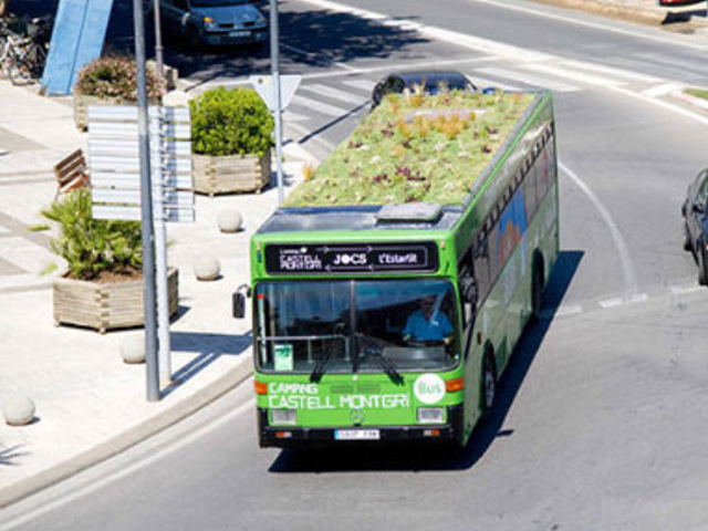 Ô tô - Xe máy - Cách chống nóng "cực độc" cho xe ôtô