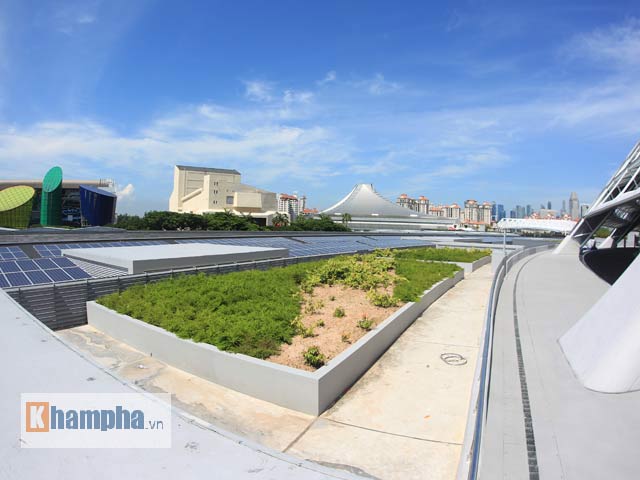 Thể thao - SEA Games thương hiệu "xanh, sạch, đẹp" Singapore