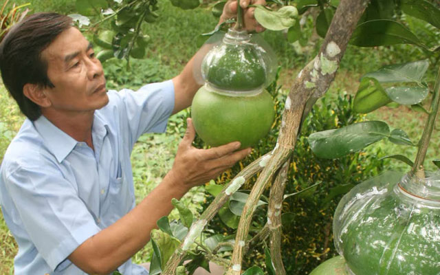 Thị trường - Tiêu dùng - Ba thương hiệu nông sản tiền tỷ