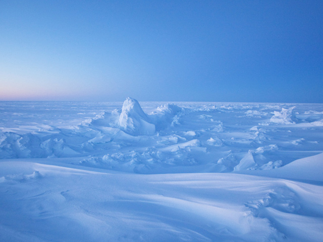 Tin tức trong ngày - Gián điệp ở... Bắc cực