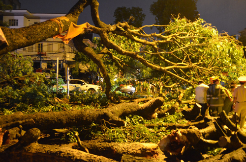 Tin tức trong ngày - Đã có người chết do cuồng phong ở Hà Nội