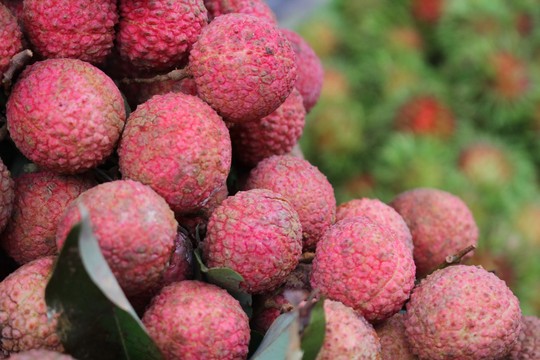 Sức khỏe đời sống - Những tác dụng nổi bật của trái vải