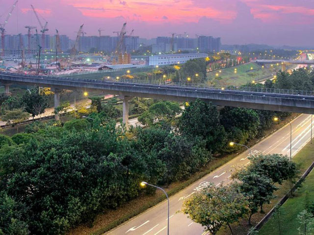 Thế giới - 5 loài cây tạo nên “đảo quốc rừng xanh” Singapore