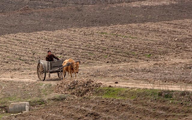 Tin tức trong ngày - Triều Tiên lao đao vì hạn hán tồi tệ nhất trong 100 năm