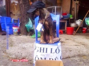 Lão Đồng Nát và chuyện lô tô lô đề