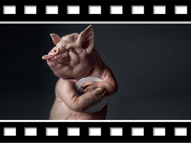 Có một thời ta đã sống (11): Xem phim "con lợn"