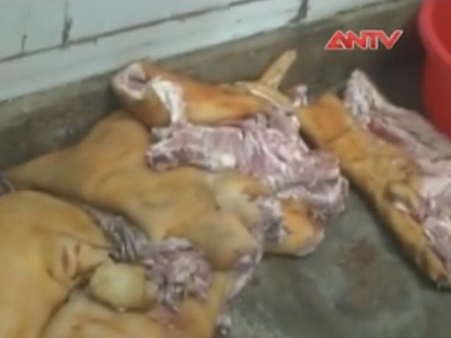 Thị trường - Tiêu dùng - Phát hiện lò mua bán thịt thú rừng tẩm hàn the, formol