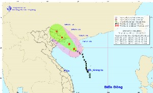 Tin tức trong ngày - Đêm nay, Quảng Ninh đón gió bão Kujira giật cấp 9-10