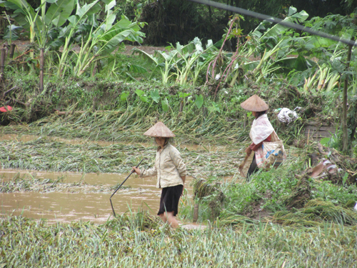 Tin tức trong ngày - Ảnh: Người Sơn La trắng tay sau lũ