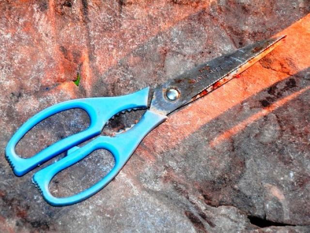 Pháp luật - TP HCM: Con rể "đoạt mạng" cha dượng của vợ