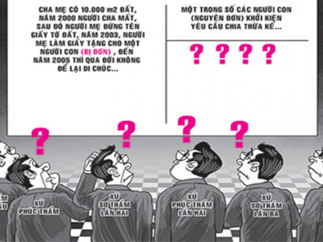 Pháp luật - Sáu năm mới xử xong một vụ chia thừa kế
