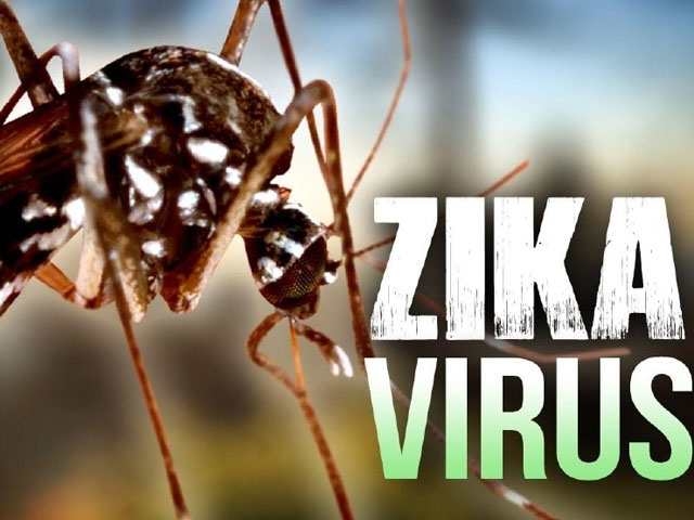 Công bố 2 trường hợp đầu tiên nhiễm virus Zika tại VN