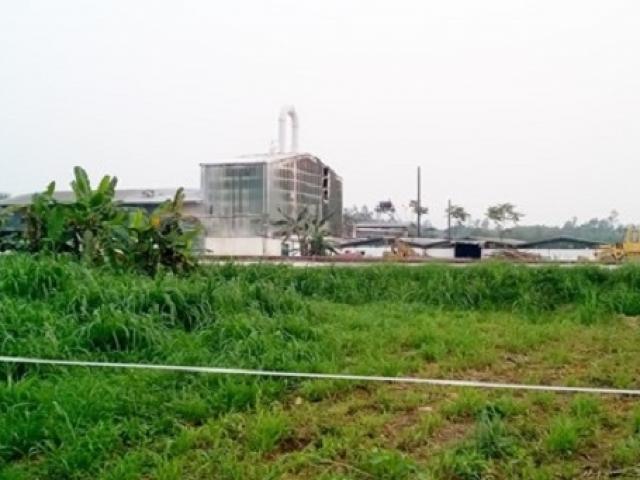 Tin tức trong ngày - Nổ ở nhà máy sắn Nghệ An, 5 công nhân bị bỏng nặng