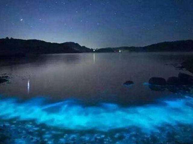 TQ: Nước biển phát sáng xanh kì quái giữa đêm