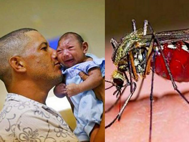 Tin tức trong ngày - Phụ nữ mang thai nhiễm virus Zika nguy hiểm như thế nào?