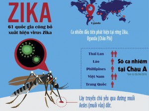 Tin tức trong ngày - [Infographic] Triệu chứng và cách phòng tránh virus Zika