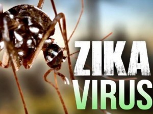 Sức khỏe đời sống - Truy tìm nguồn gốc nhiễm Zika của bệnh nhân ở Khánh Hòa