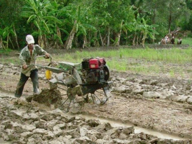 Tin tức trong ngày - Tập lái máy cày, một thanh niên bị cuốn nát chân