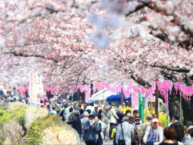 Video An ninh - Gợi ý tour du lịch lý tưởng cho dịp lễ 30/4 - 1/5